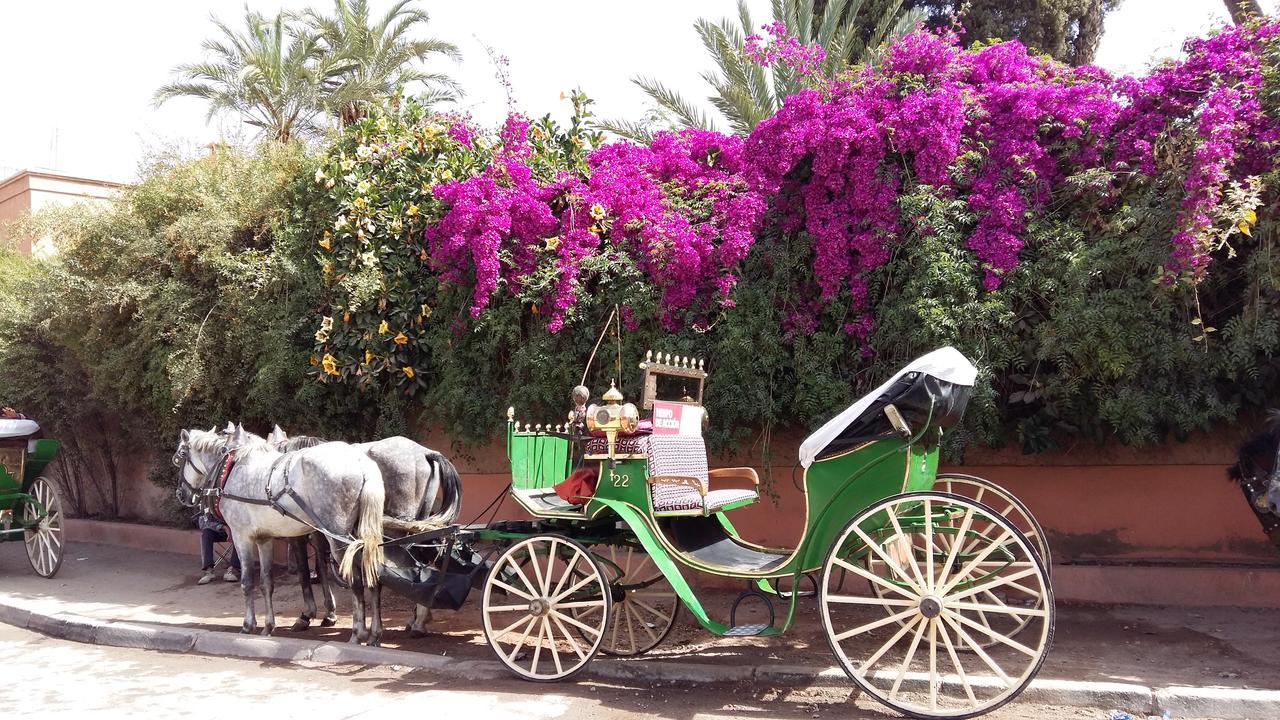 Mirador De Majorelle, The Apartment Is Only For Families Marrakesh Luaran gambar